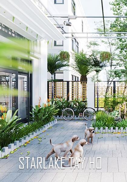 Thiết kế nội thất gỗ óc chó tại biệt thự Starlake Tây Hồ 